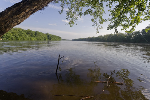 trees nature water river pennsylvania susquehannariver miltonstatepark