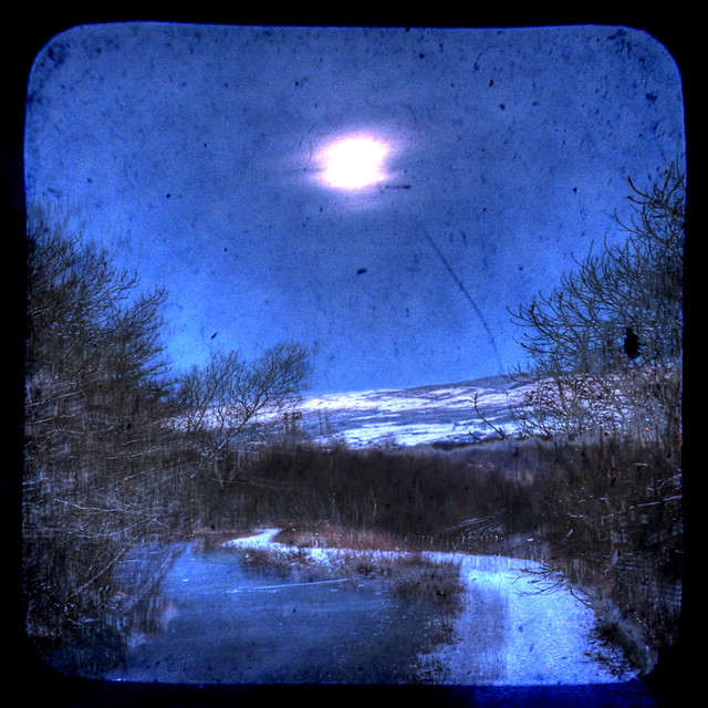Moonlight on the Canal