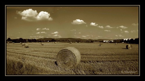 bale of straw... by *blackRose* (rare but there)
