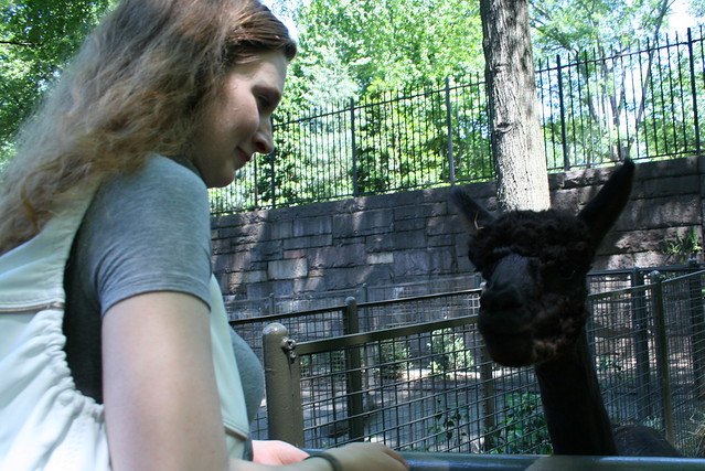 janina feeds goat thingies, central park zoo