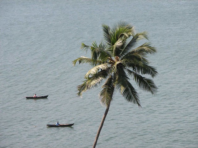 Boat and Coconut Tree