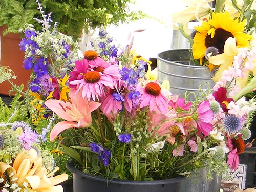 Bucket of Wild Flowers | by nancy**