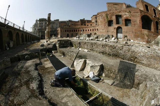 The Forum and Market of Trajan: Animal Life Among the Ruins: the 