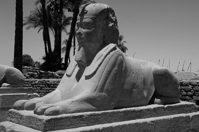 Una esfinge en Luxor