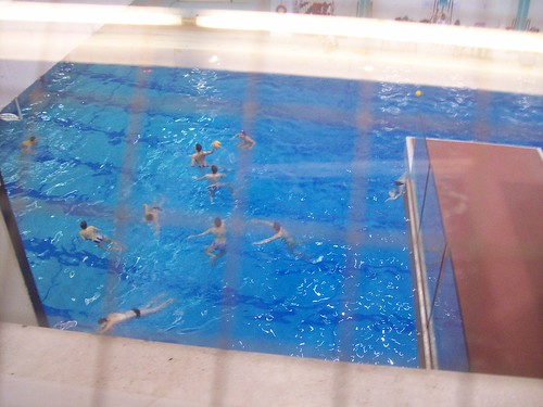 Water Polo players at the University of Ottawa.