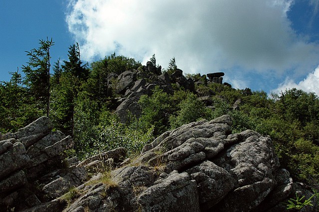 d0502020 | Der Felsenweg am Reisberg, oberhalb des Lac Blanc. Am Plateau erreicht man die Hautes Chaumes. Vogesen, 25.06.2005