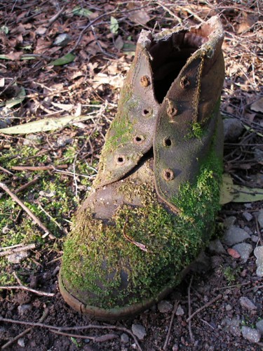 Old Boot | by NR2030