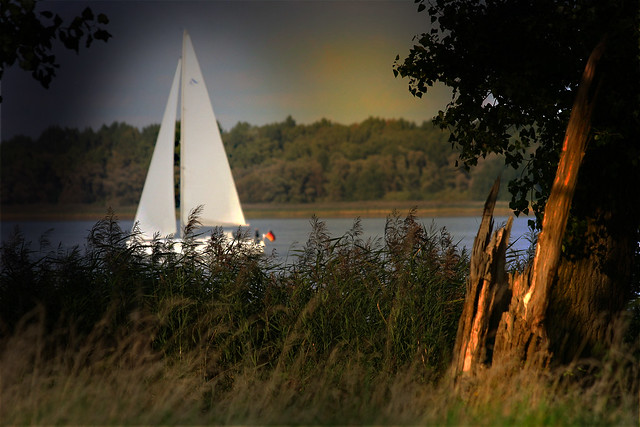 sailing on river Elbe