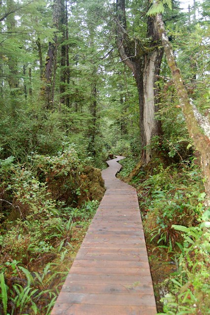 Boardwalk to Hot Springs Cove, Vancouver Island, British Columbia, Canada