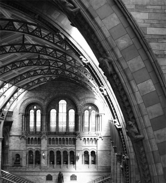 Inside the Natural History Museum London