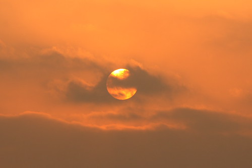 Orange Balls