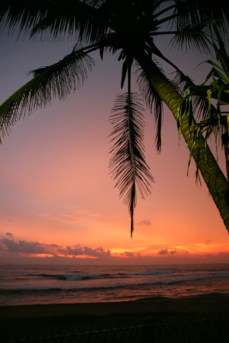 sunset beach landscape geotagged sri lanka palmtree paysage kalutara geo:lat=6593332 geo:lon=79960556