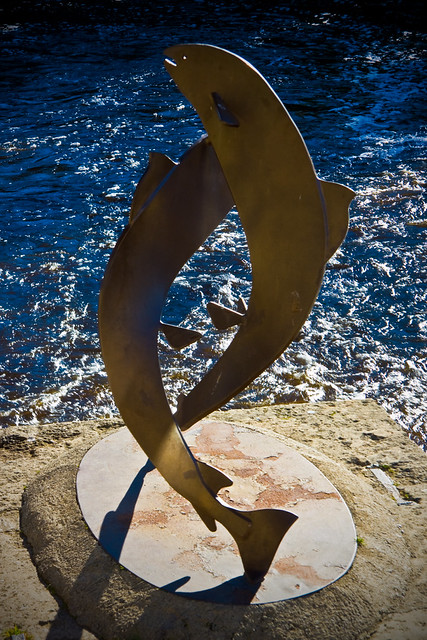 Flying Fish Rou Flying Fish - a photo on Flickriver