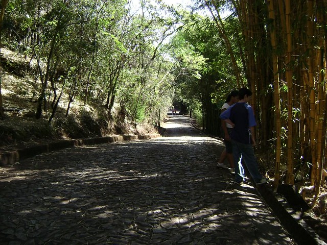 Parque das Mangabeiras