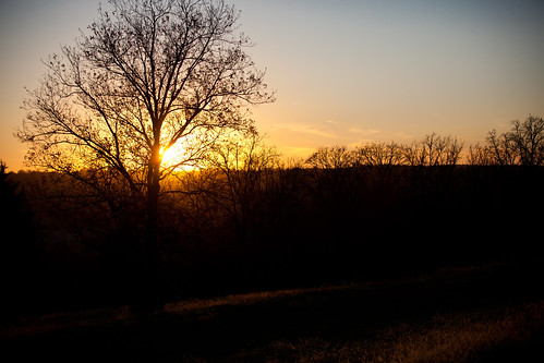 sunset tree october iowa nieuwenhuisfotografie
