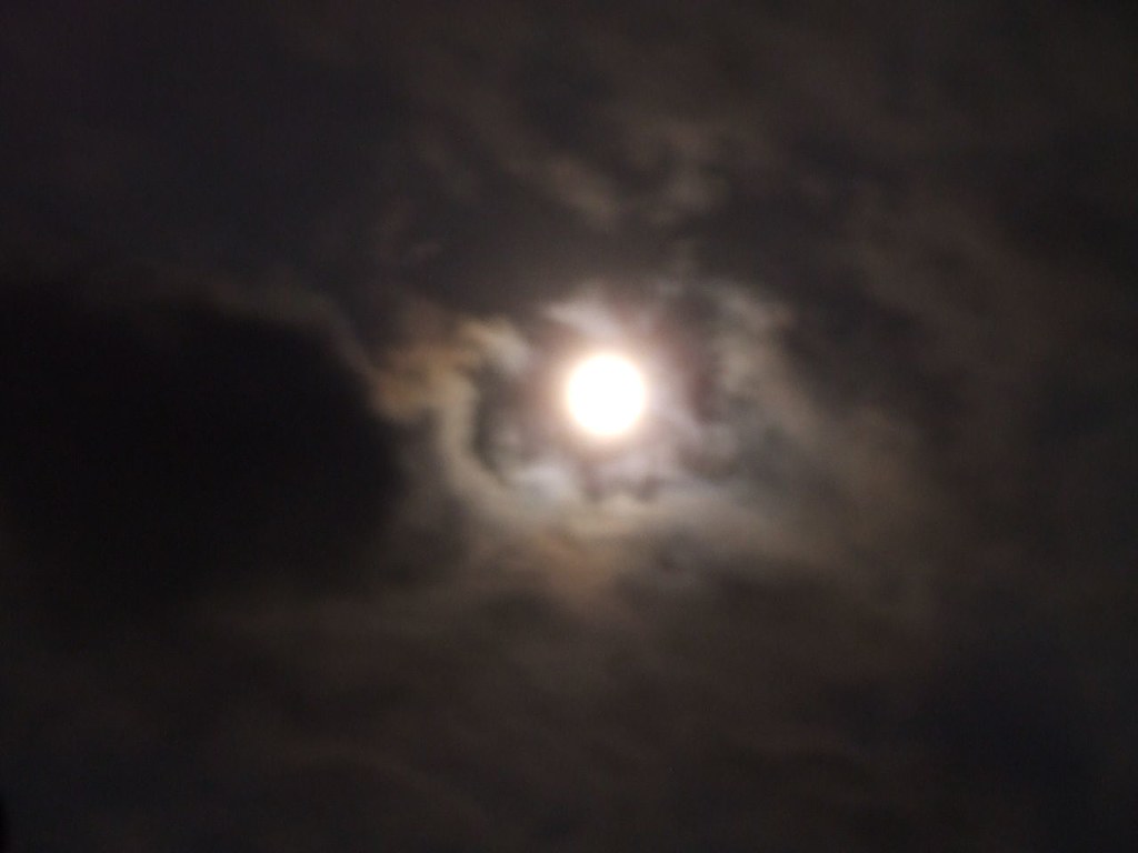 Sharlene's first with baby, hummer, moon 130 | Cold moon, 20 ...