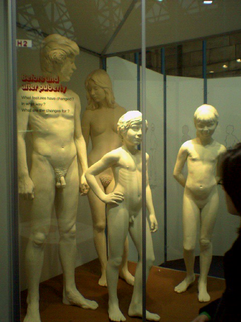 Naked family in a box