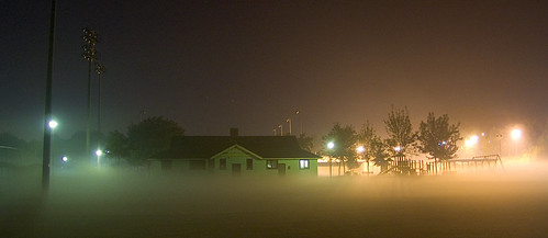 Fog in the park | by syncros