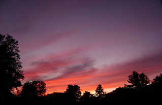 Backyard Sunset