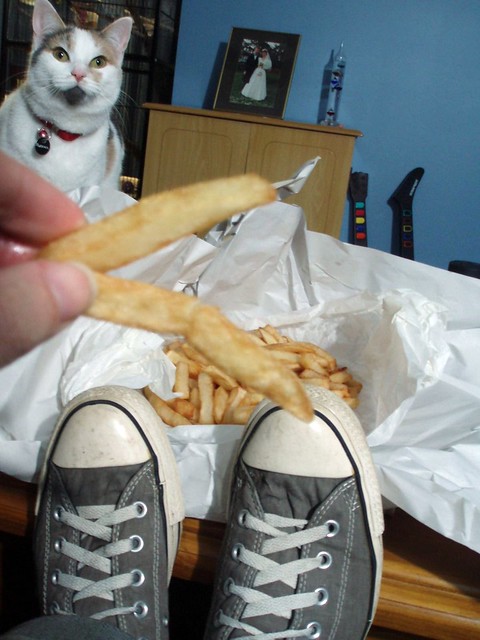 25/06/2010 (Day 4.176) - The Kaptain, The Kitten, The Converse And The Chips
