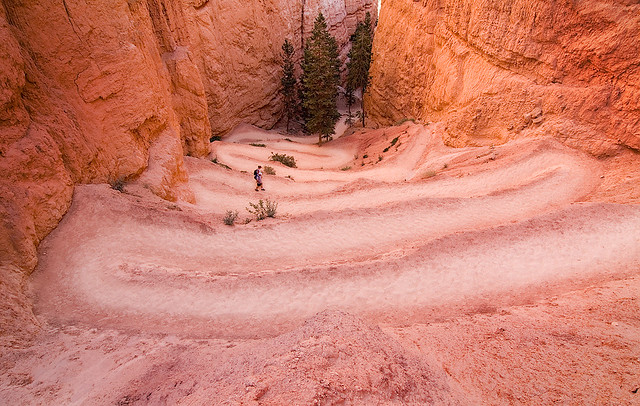 Navajo Trail - Colour