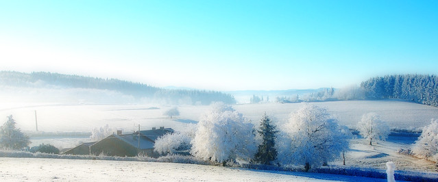 Frosted landscape for christmas, paysage de noël