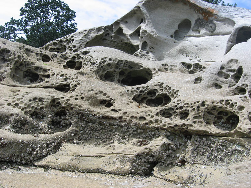 Porous Riock Porous Rock