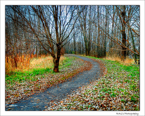 Path to Grandma's House by Ms Ladyred