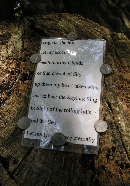 Arundel to Amberley 1 Nailed to a tree in Arundel Park: &quot;High on the hill, let my ashes lye neath Stormy Clouds or Sun drenched Sky up there my heart takes wing Just to hear the Skylark Sing In Sight of the rolling hills And the Sea. Let me lye in peace eternally&quot; Evidently anonymous; an epitaph, perhaps? 11 August '07.