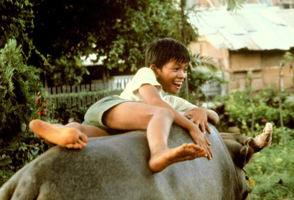 Buffalo Boy, Jakarta, Indonesia