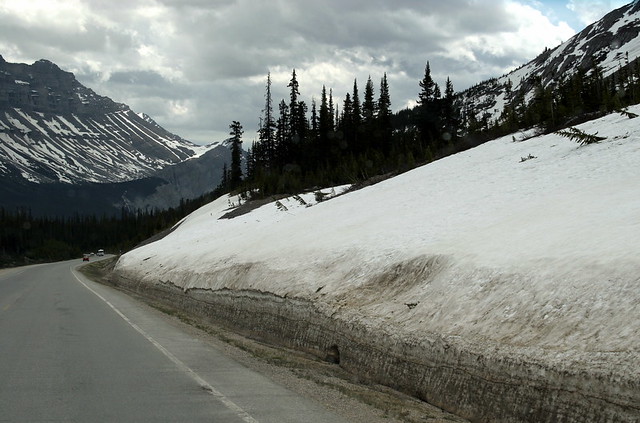 Icefield Parkway - Returning to Banff