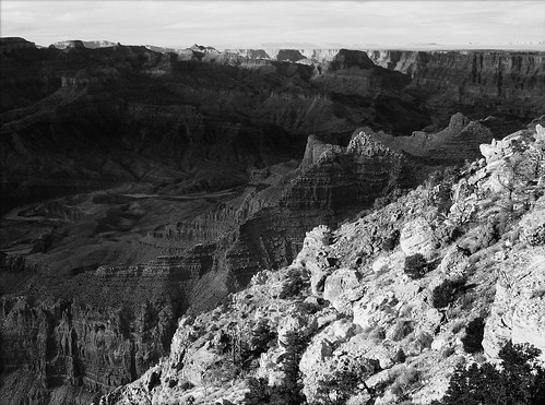 Grand Canyon by Juli Kearns (Idyllopus)