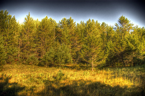 camping trees sky grass wisconsin forest cable hdr northwoods tonemapped crispair cablewisconsin