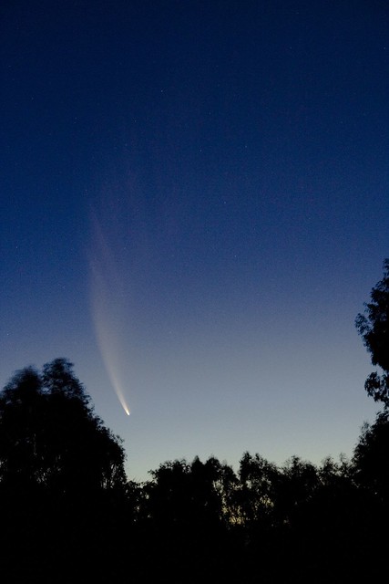 McNaught Comet - II