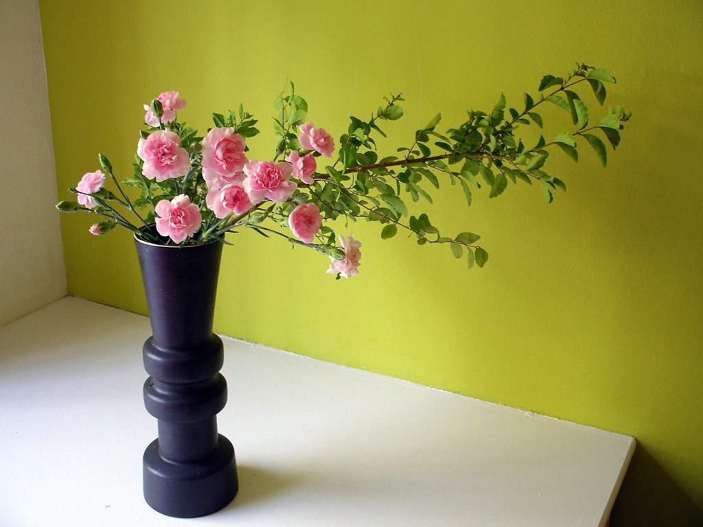 Ikebana | Ikebana by me with pink carnations 