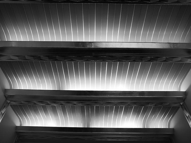 Ceiling Detail in Black and White.