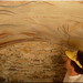 grup de pintura al fresc sant roc. 27salàs de pallars