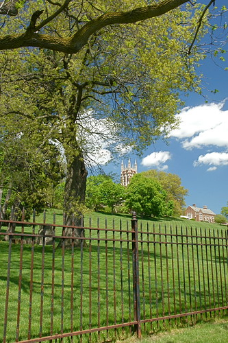 Divinity School Fenced In | by +David+