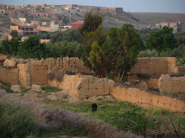 Village, enclos. Maroc
