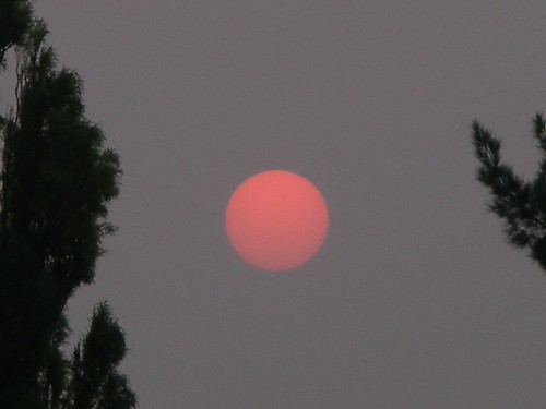 Bushfire Sun | Bushfires around Victoria have been so intens… | Flickr