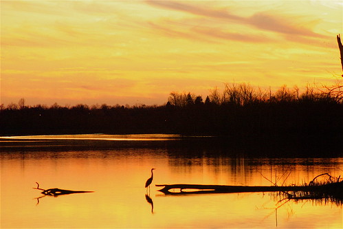 trees sky water clouds reflections evening december 10 5 kentucky lexingtonky richmondroad smörgåsbord fayettecounty centralkentucky aplusphoto ellserlielake onlythebestare platinumheartaward everywherewalks bestofformyspacestation