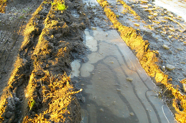 Rutt Roo ruts - a photo on Flickriver