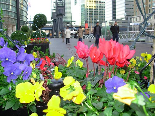 Canary Wharf | The lovely arrangement of flowers just about … | Flickr