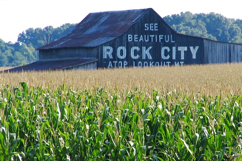 beautiful barn cornfield farm tennessee rockcity seerockcity us31e robertsoncounty brentandmarilynnpersonalfavorite bmok