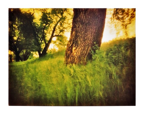 Stood motionlessly always by jonespointfilm