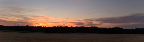 sunset field jackson