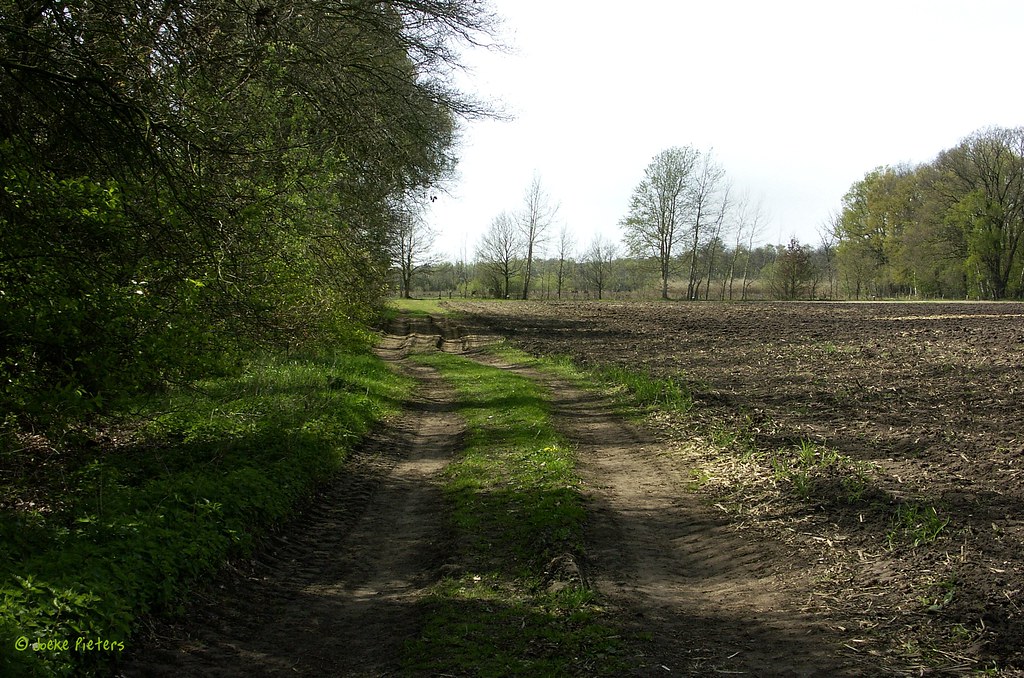 Rural path by joeke pieters
