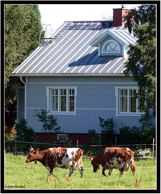 House and two cows
