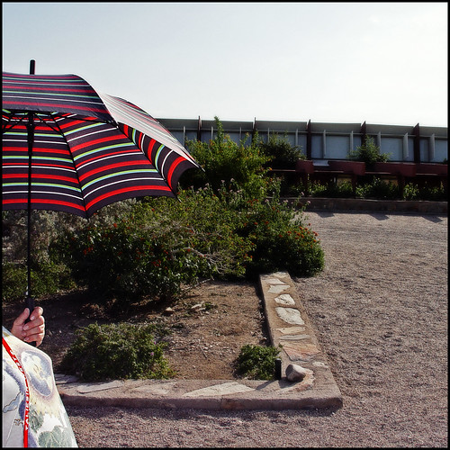 Taliesin West Umbrella by Juli Kearns (Idyllopus)