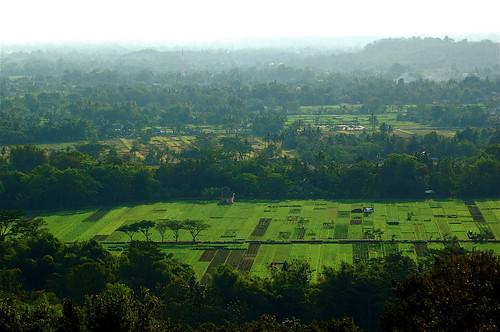 rural indonesia landscape geotagged java earthquake haze rice tropical fields jogja farms yogyakarta yogya padi agriculture irrigation ngelepen geo:lat=780064 geo:lon=110503793